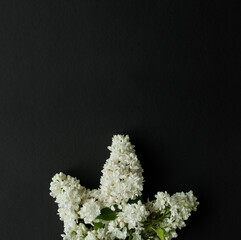 Flat lay top view photo of spring lilac flowers. lilac flowers bouquet on black background. top view with copy space