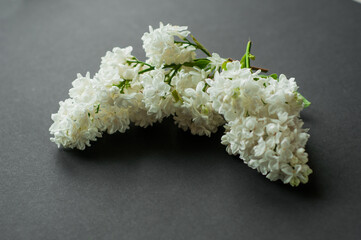Flat lay top view photo of spring lilac flowers. lilac flowers bouquet on black background. top view with copy space