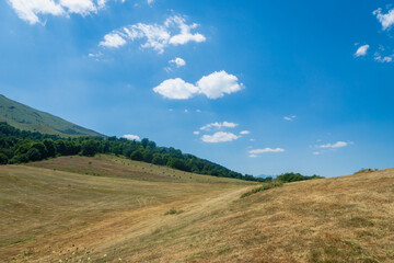 Fototapeta premium Mountain meadow / farm landscape in Dilijan, Armenia - summer landscape of trekking/hiking area