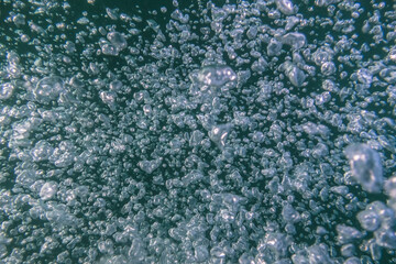 lots of air bubbles from a diver in a lake