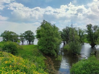 the river flooded the green shore and trees against the blue cloudy sky on a sunny day