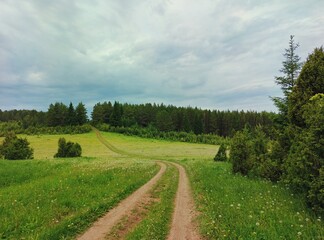 winding country road in a green field near the forest against a beautiful cloudy sky before the rain
