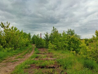 Fototapeta na wymiar destroyed and dismantled railway with the remains of sleepers among the greenery of bushes and trees near the plant against a dark sky with clouds