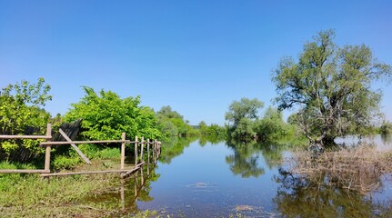 flooded agricultural field with trees near the fence after the flood against the blue sky on a sunny day