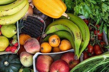 agriculture, apple, assorted, background, balanced, beetroot, beets, broccoli, carrot, carrots, celery, cherry tomatoes, copy space, courgette, cucumber, cucumbers, diet, eating, farming, food, fresh