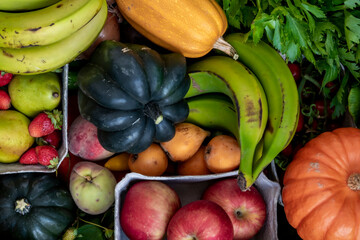 agriculture, apple, assorted, background, balanced, beetroot, beets, broccoli, carrot, carrots, celery, cherry tomatoes, copy space, courgette, cucumber, cucumbers, diet, eating, farming, food, fresh