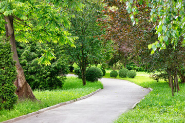 A winding asphalt road for pedestrians through a park with many beautiful decorative bushes and trees.
