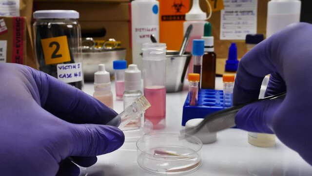 Specialized criminalistic police performs hematological analysis with forensic test kit in a murder in a crime lab