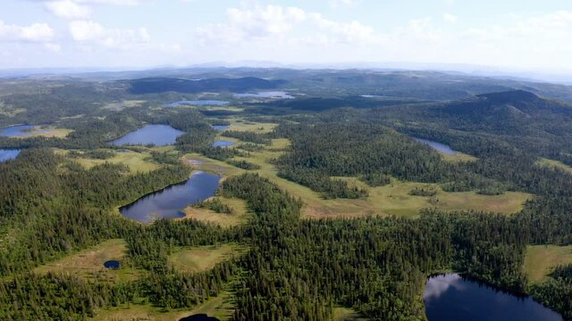 Drone in Hallingdal. Recorded in &Aring;l.
