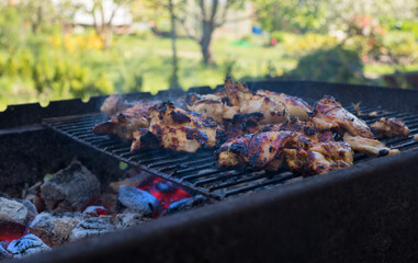 The grill season is open. Grilled turkey on backyard.