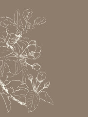 hand drawn spring tree flowers on brown background. vector illustration