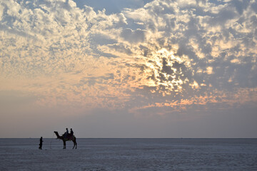 Camel silhouette with sunset at White desert, Kutch, India.