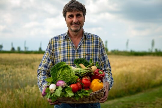 Authentic shot of happy mature male farmer is holding a basket with fresh harvested at the moment vegetables and smiling in camera satisfied with his harvest on a countryside field.