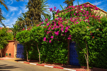 Colored streets of Marrakesh. Old Town - Medina.