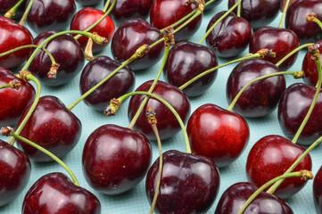 Cherries collection. Ordered red organic ripe cherries on a light blue background