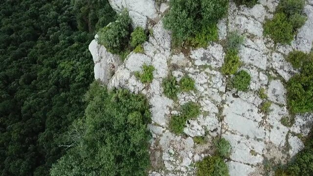 Aerial shot of plants on rocky cliff in forest, drone flying forward over green landscape - Tavertet, Spain
