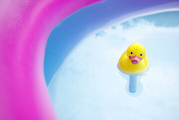 Pato amarillo en piscina de Verano,  detalle de calor, verano y refrescarse