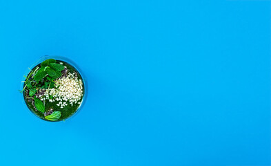 Green fresh healthy smoothie with spinach, chia seeds and sesame seeds, garnished with sprouts, located on a bright blue background. Top view, copy space for text.