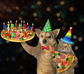 The beige dog and the cat in party hats carriy a holiday pizza with multi colored burning candles....