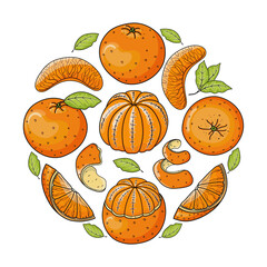 Hand drawn vector illustration with bright whole, peeled, cut and sliced oranges. Round concept vector drawing for card, banner, advertising or holiday poster.