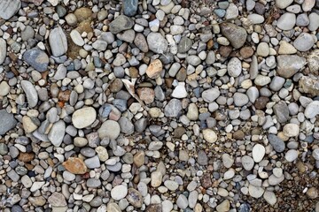 A close view of the rock and pebble gravel surface.