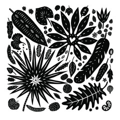 Tropical plants and palms leaves nuts and seeds isolated on background. Stylised cartoon hand drawn decorative vector elements for design. 