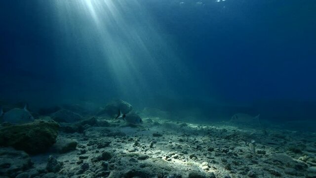 sun ray and sun beam scenery underwater waves on surface of water slow ocean scenery