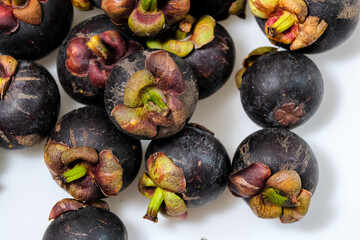 mangosteen fruits placed on a white background