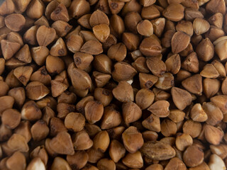 Buckwheat groats close-up in a bank on a background