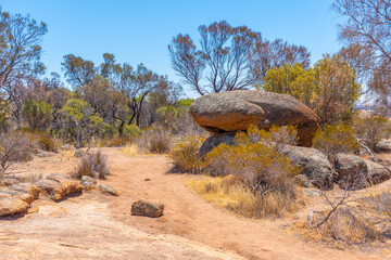 Landscape of Wave rock wildlife park in Australia