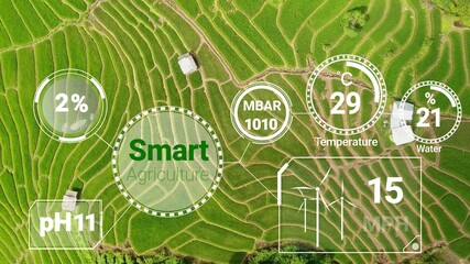 Smart digital agriculture technology by futuristic sensor data collection management by artificial intelligence to control quality of crop growth and harvest. Computer aided plantation grow concept.
