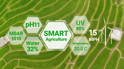 Smart digital agriculture technology by futuristic sensor data collection management by artificial...