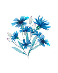 Fototapeta na wymiar Watercolor illustration. Bouquet of blue wildflowers. Blue watercolor cornflowers. Blooming and buds. Element for design.