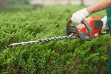 Close up of gargener trimming bushes.