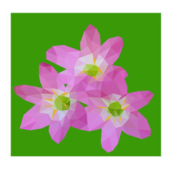 Low poly vector of a blooming pink white flower. Seen from front direction.