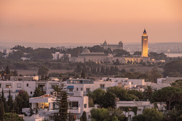 Obraz premium The Acropolium, also known as Saint Louis Cathedral at Byrsa - Carthage, Tunis, Tunisia