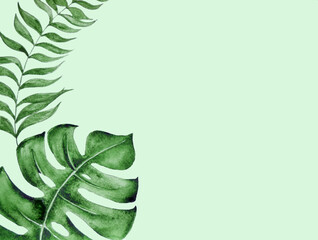 Green leaf background. Tropical leaves.