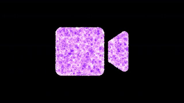 Symbol video shimmers in three colors: Purple, Green, Pink. In - Out loop. Alpha channel Premultiplied - Matted with color black