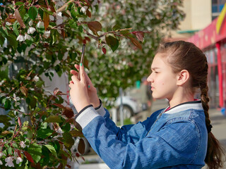 a young girl in a blue jeans jacket on the street takes photos of Apple blossoms on her smartphone for the social networks