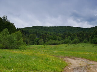 Naklejka premium landscape in the mountains