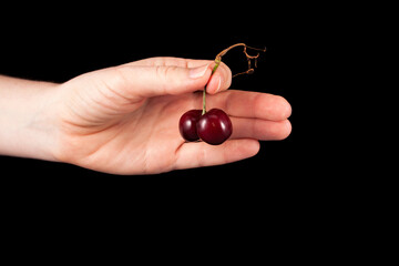 Female hand holds an ugly cherry. Fused sweet cherries. Strange shape of berries on a black...