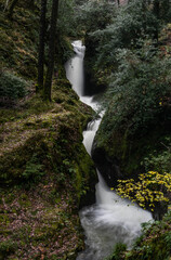 poulanass waterfall in Glendalough