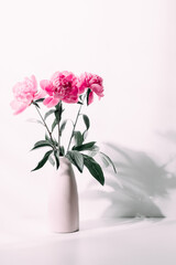 Pink peony flower in vase against white wall with hard shadows. Floral minimal home interior design concept with shadow. 