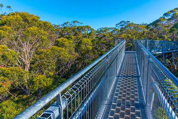 Valley of the giants tree top walk in australia