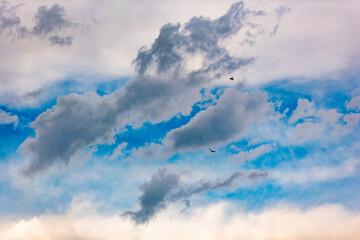 Birds in flight in a cloudy sky