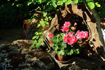 Dekoration im Garten