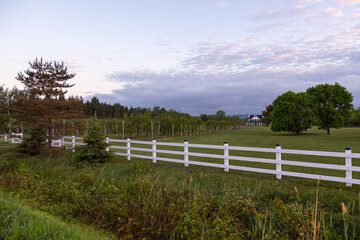 Fototapeta na wymiar Large fenced country property with rows of cultivated fruit trees headed by wooden signs for the different varieties seen during a spring morning, Saint-Antoine-de-Tilly, Quebec, Canada