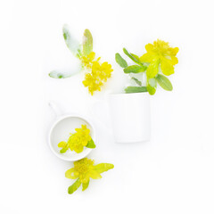 Spurge flowers in white bowls float in milk. The concept of purity, tenderness, freshness, youth....