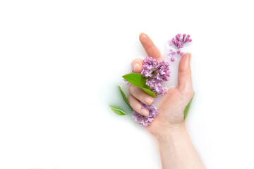 Girl's palm of a girl in a bath with milk and flowers. Copy space, flat lay. The concept of purity, tenderness, freshness, youth. Lilac flowers.