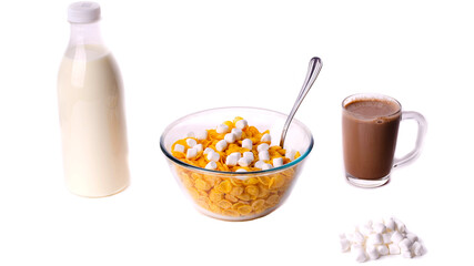 Fototapeta na wymiar cereal with milk and cocoa